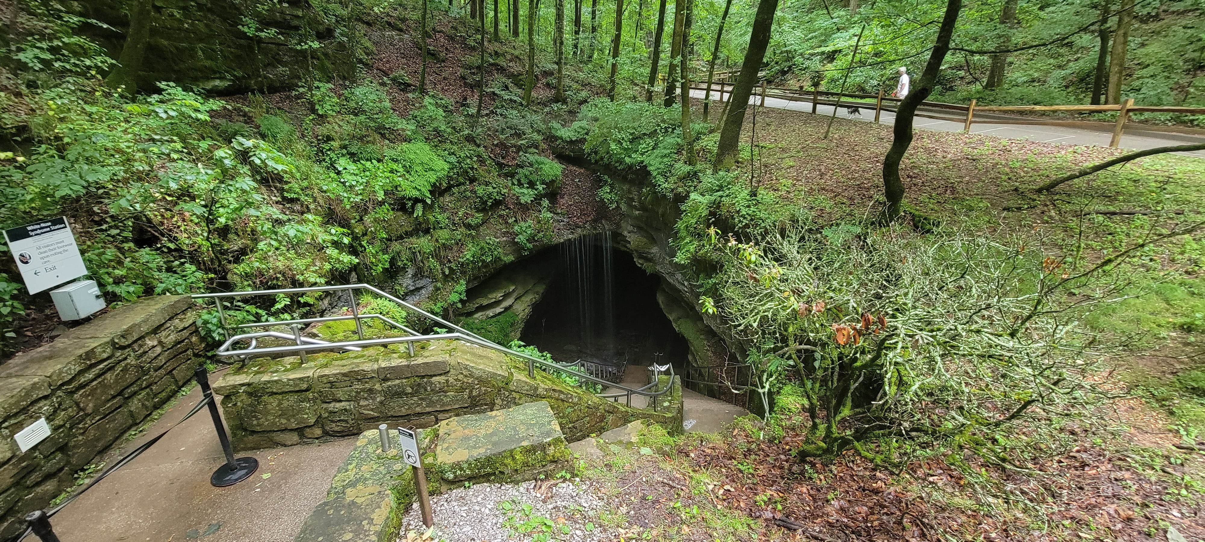 Best Camping In Mammoth Cave National Park The Dyrt   Mammoth Cave Campground Bf27ef2d F922 4c07 B330 2f969acbd5cc 