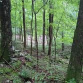 Review photo of Mammoth Cave Campground — Mammoth Cave National Park by Jason N., July 26, 2021