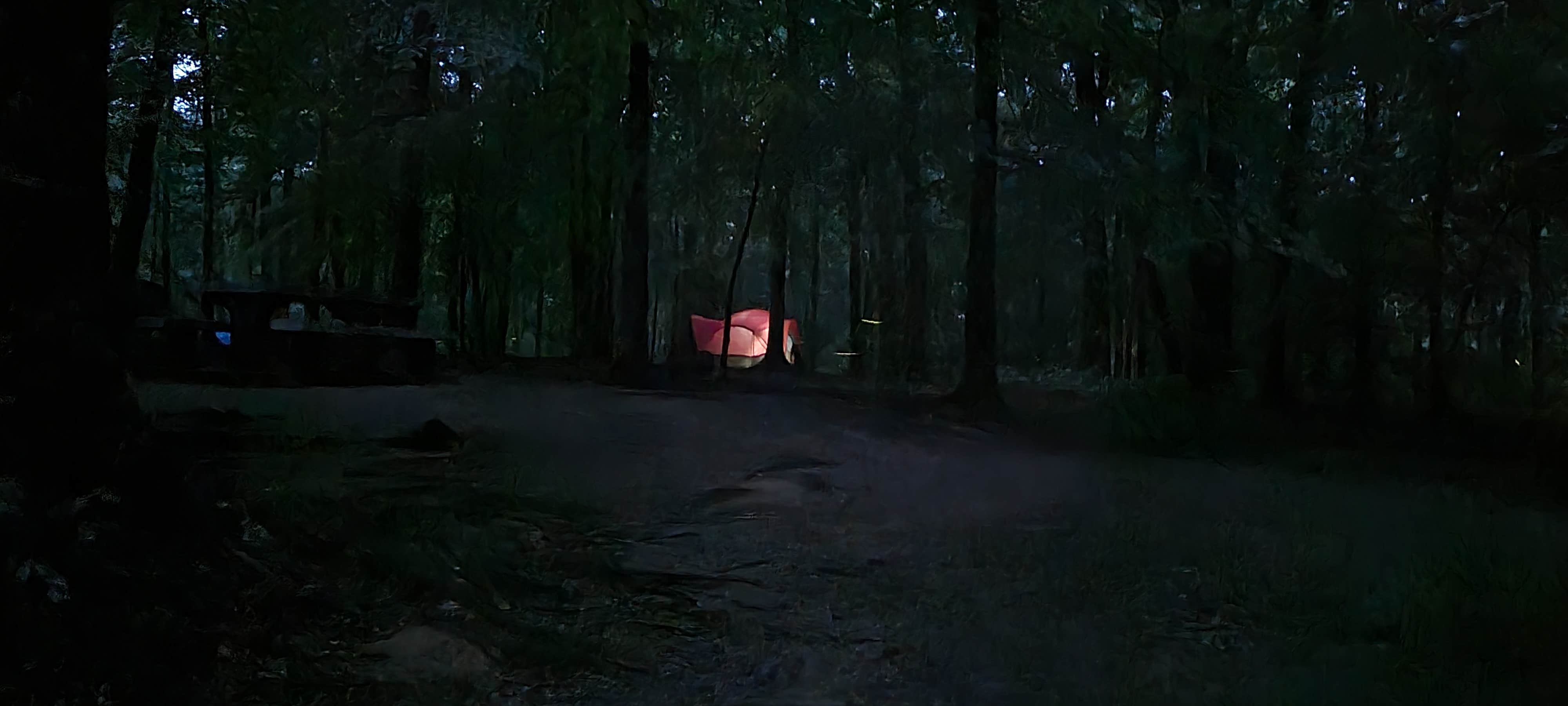 Jason N.'s photo at Mammoth Cave Campground — Mammoth Cave National Park near Horse Cave, KY