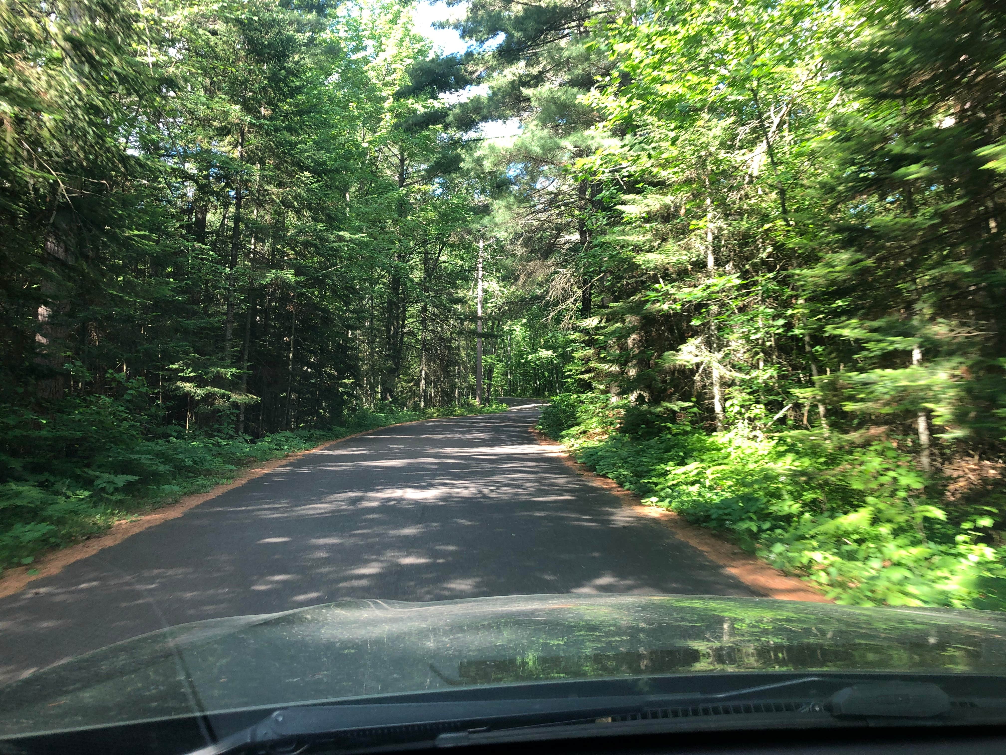 Camper submitted image from Big Lake Campground — Northern Highland State Forest - 3