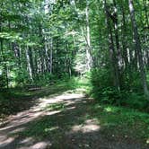 Review photo of Big Lake Campground — Northern Highland State Forest by Art S., July 26, 2021