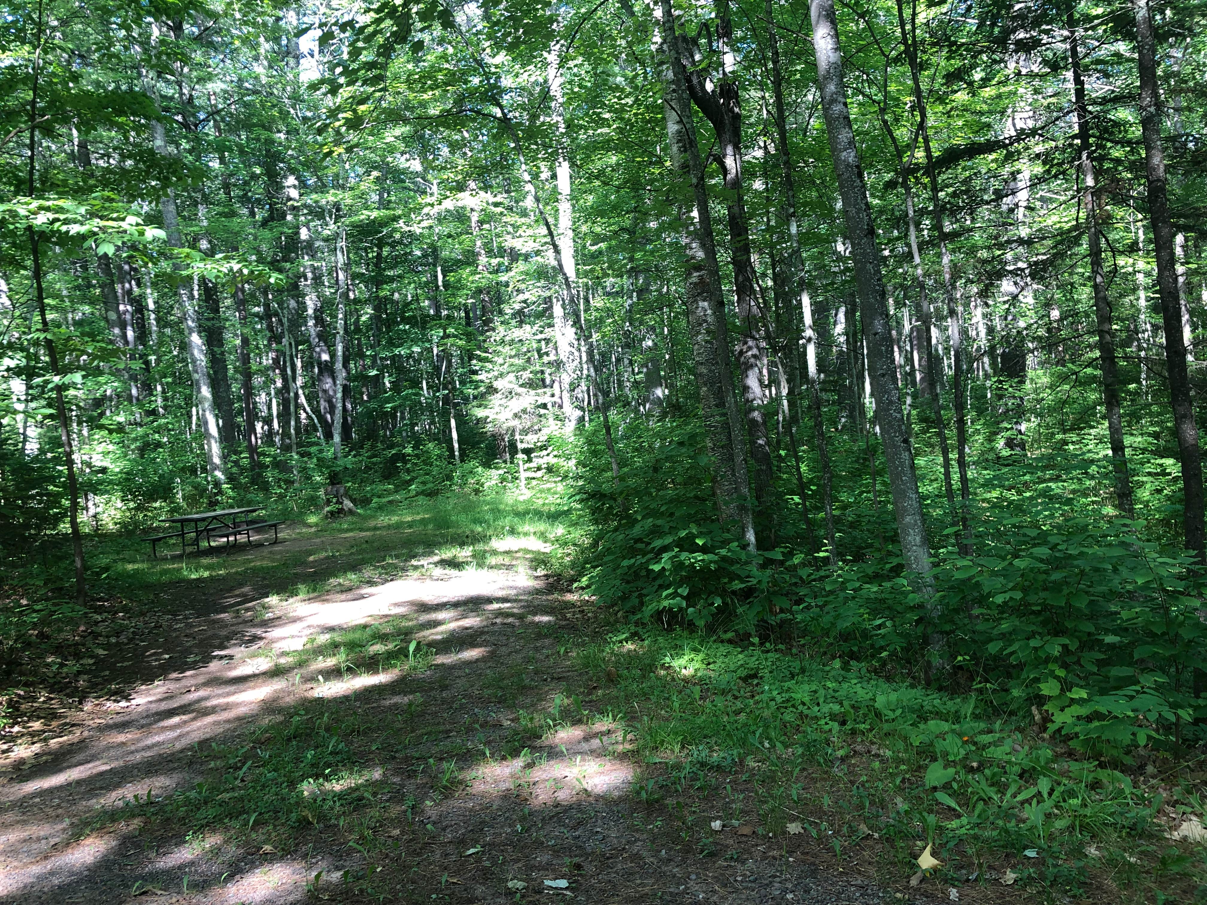 Camper submitted image from Big Lake Campground — Northern Highland State Forest - 2