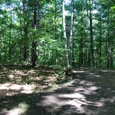 Review photo of Big Lake Campground — Northern Highland State Forest by Art S., July 26, 2021