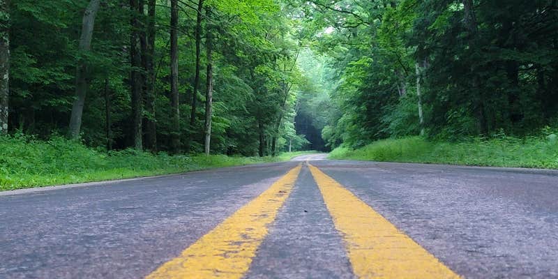 Camper submitted image from Savage River State Forest