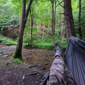 Review photo of Savage River State Forest by Jason N., July 26, 2021