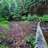 Review photo of Savage River State Forest by Jason N., July 26, 2021