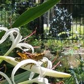 Review photo of Kathryn Abbey Hanna Park by Swain K., June 16, 2018