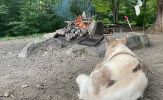 rob M.'s photo of camping with pets at Horse Cove near Fontana Dam, NC