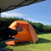 Review photo of Ocracoke Campground — Cape Hatteras National Seashore by Joseph H., July 26, 2021