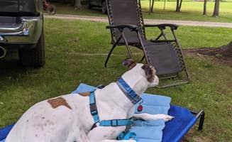 James P.'s photo of camping with pets at Countryside Campground & Cabins near Evart, MI