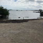 Review photo of Boyd's Key West Campground by Joseph H., July 26, 2021