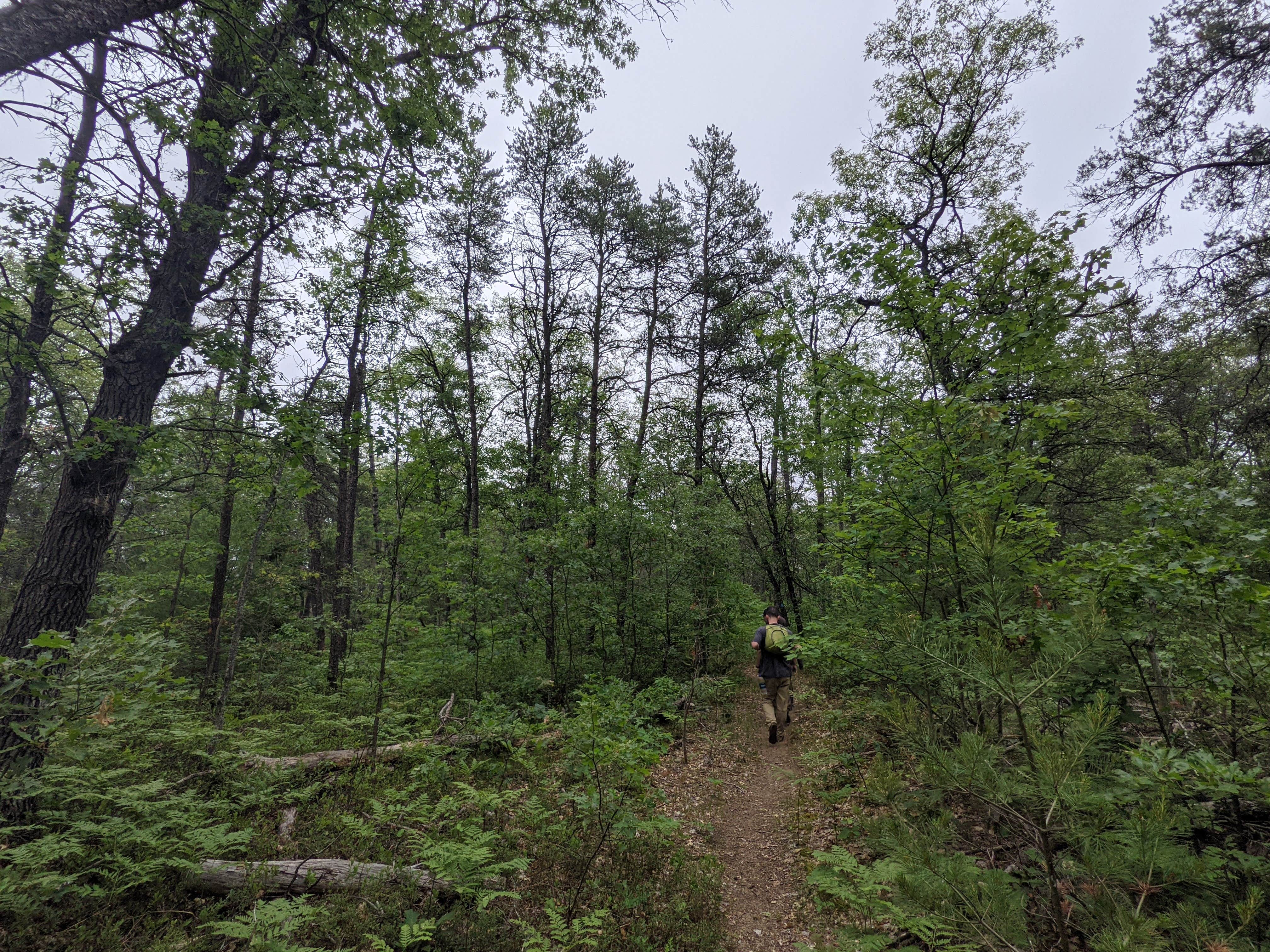 Camper submitted image from Tomahawk Lake State Forest Campground - 5