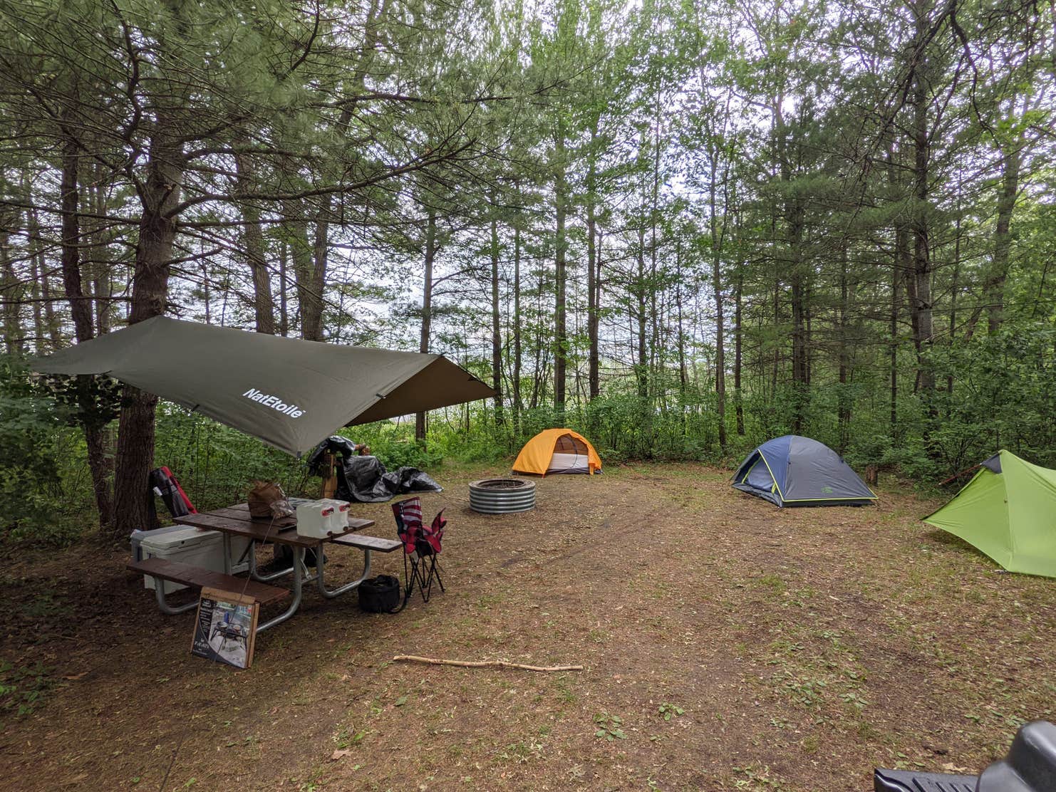 Tomahawk Lake State Forest Campground | The Dyrt