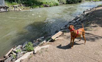 Anthony B.'s photo of camping with pets at Salida East Campground — Arkansas Headwaters Recreation Area near Howard, CO