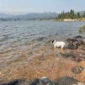 Review photo of Island Lake Campground by Danae P., July 26, 2021