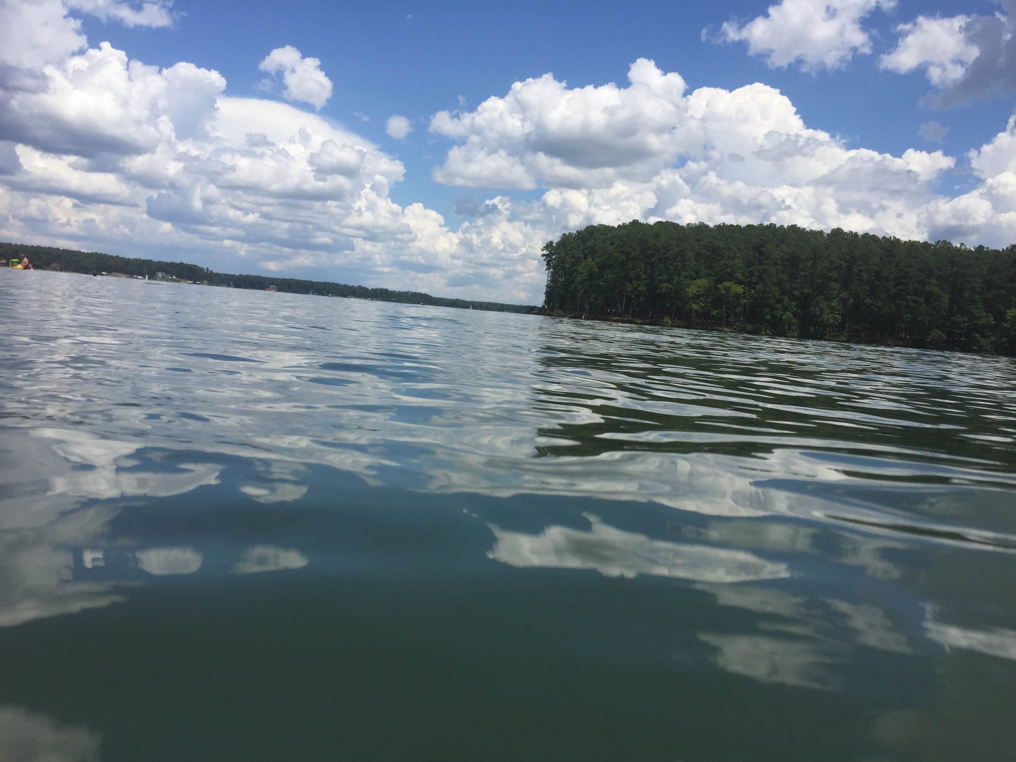 Camper submitted image from Lake Greenwood State Park Campground - 2