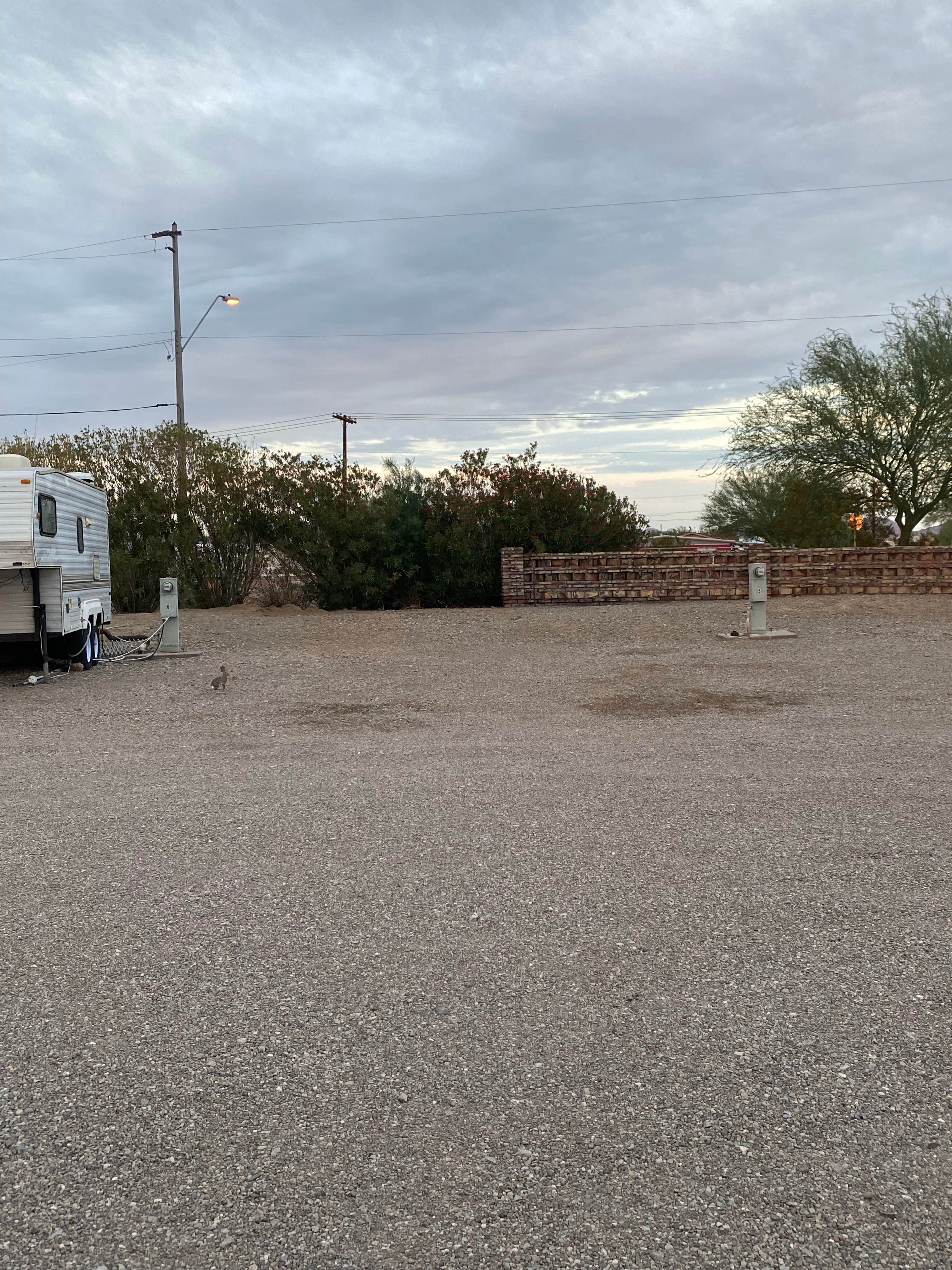 Camper submitted image from Ameri-Can Trails RV Park - 4