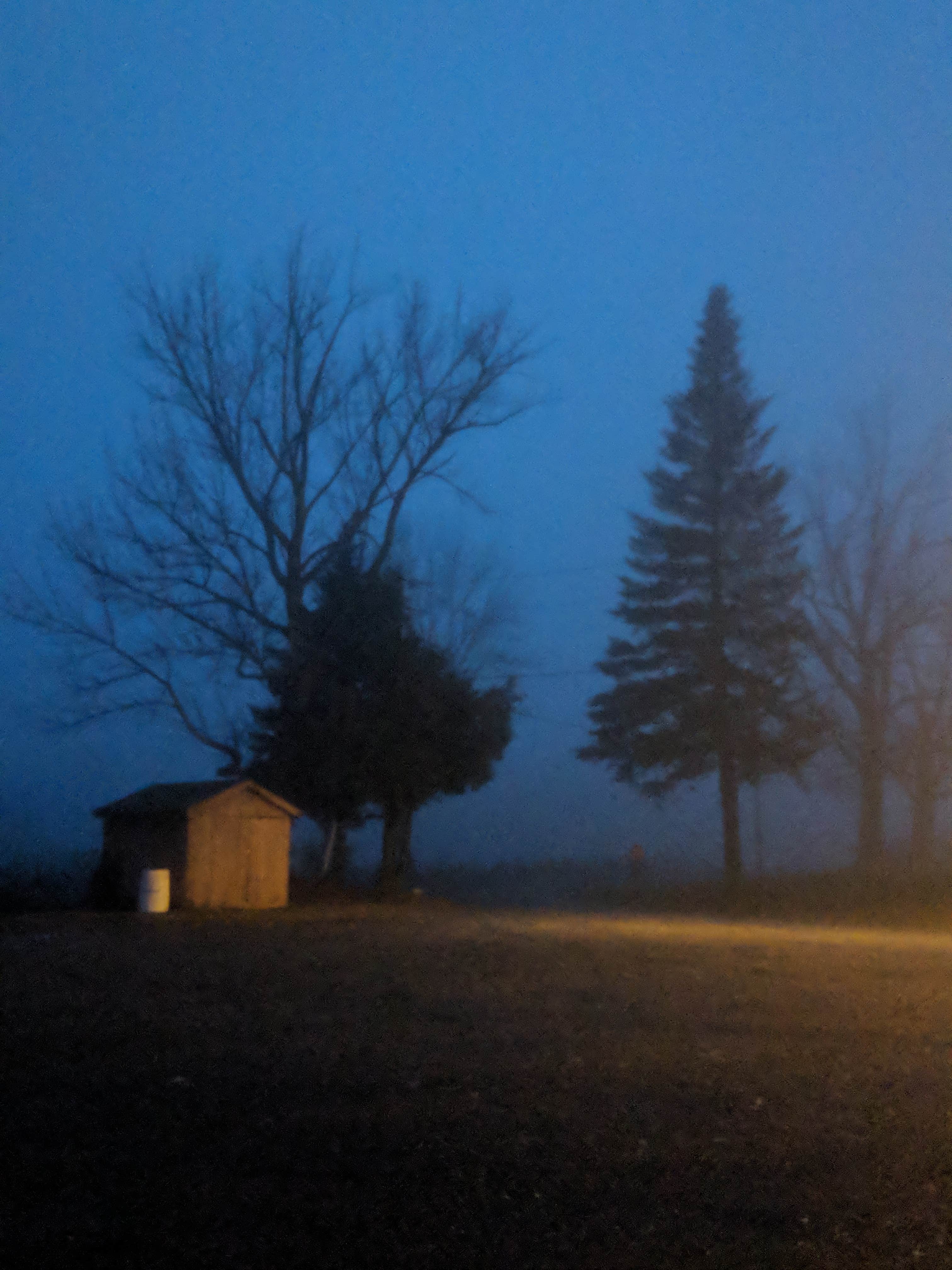 Camper-submitted photo at Peppermint Park Camping Resort near Cummington, MA