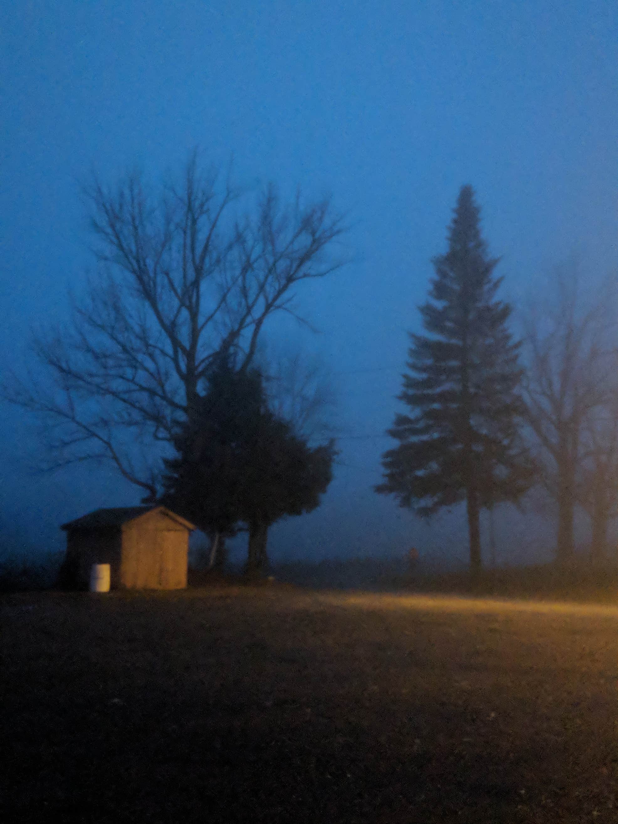 Peppermint Park Camping Resort The Dyrt