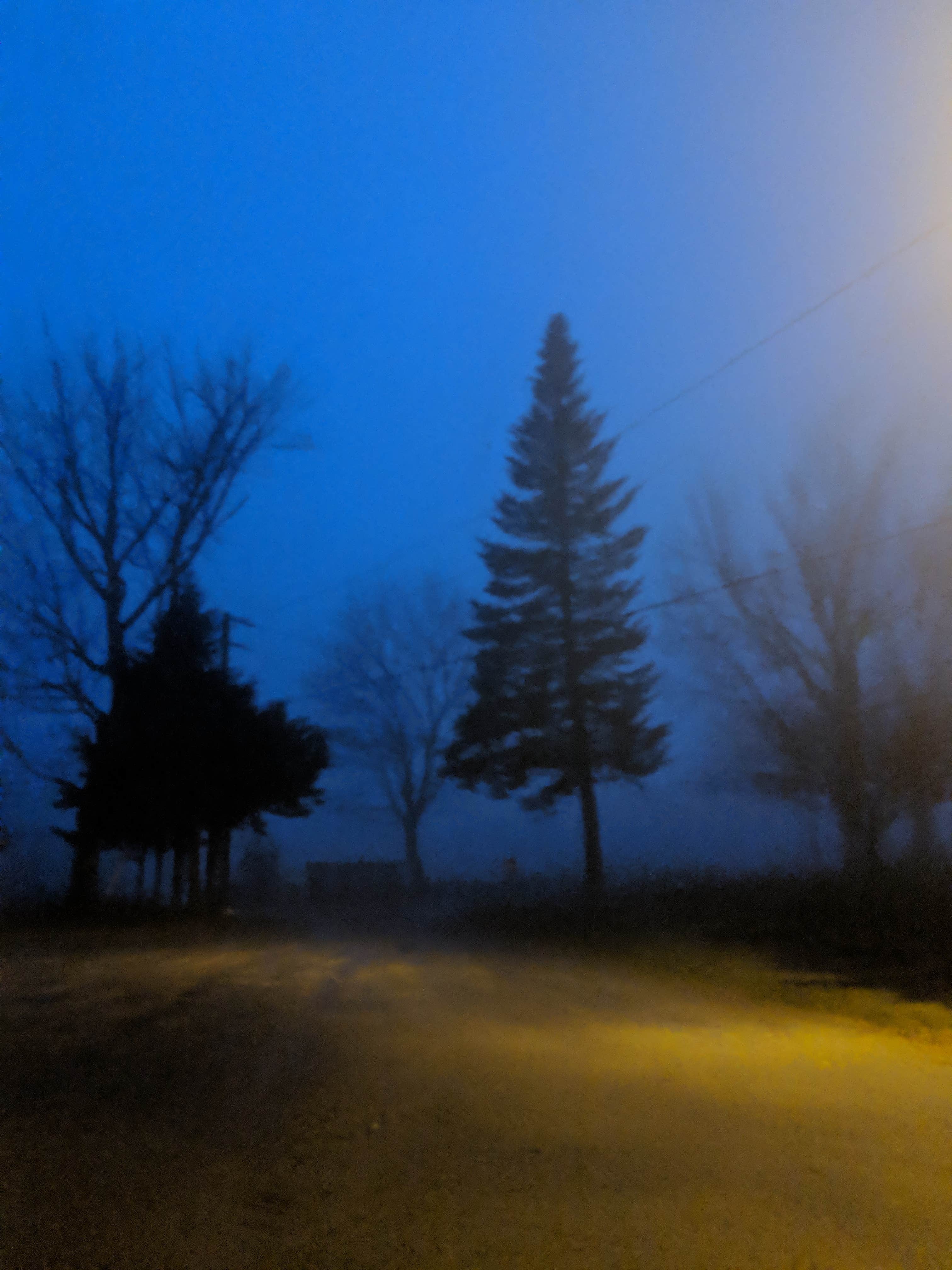 Peppermint Park Camping Resort Plainfield, MA