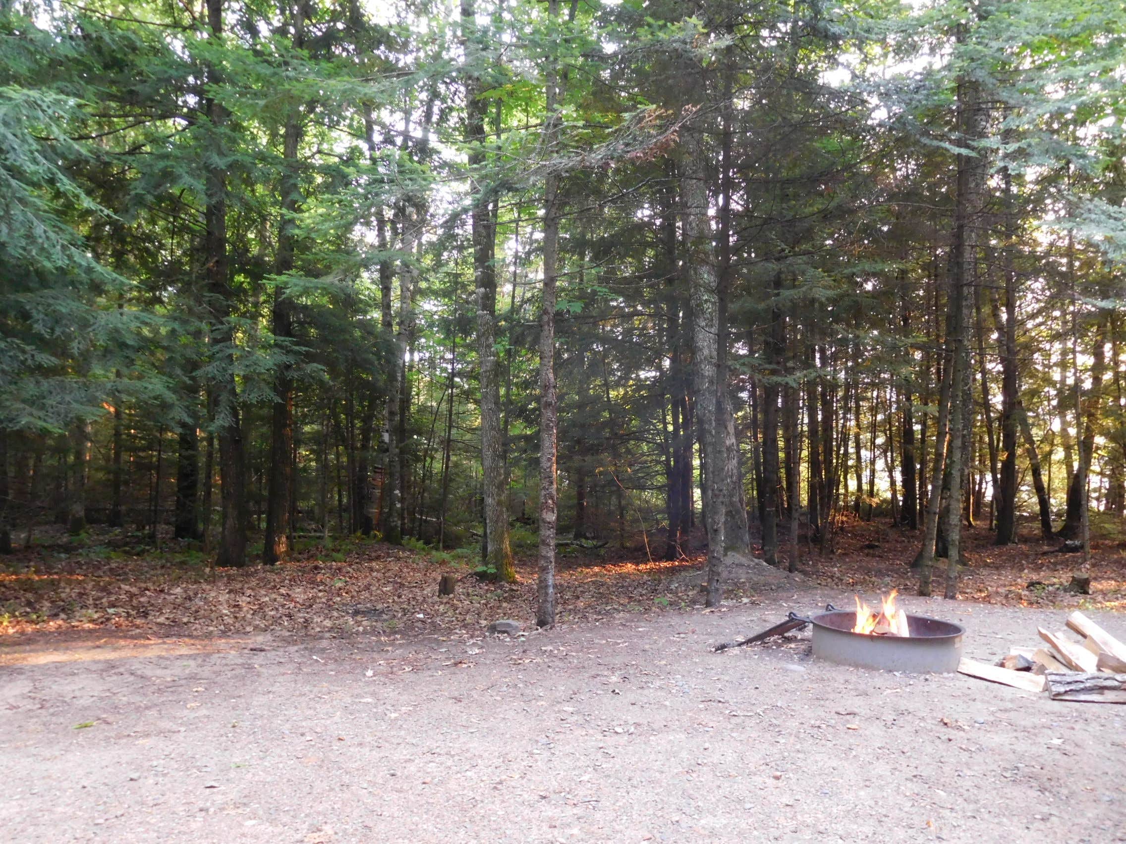 Camper submitted image from Spectacle Lake Campground (wisconsin) - 5