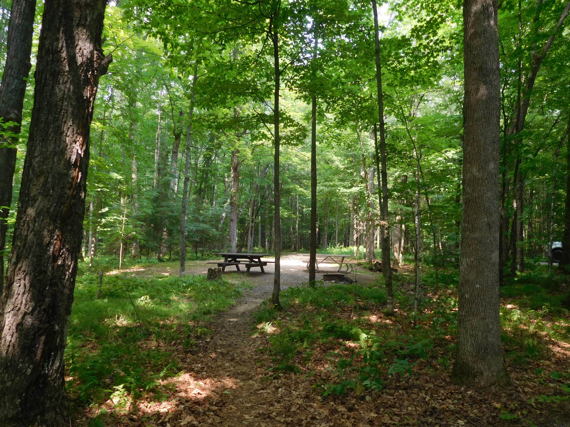 Camper submitted image from Spectacle Lake Campground (wisconsin) - 5