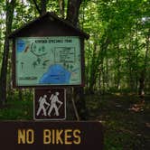 Review photo of Spectacle Lake Campground (wisconsin) by Debra M., July 26, 2021