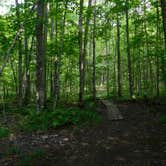 Review photo of Spectacle Lake Campground (wisconsin) by Debra M., July 26, 2021