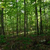 Review photo of Spectacle Lake Campground (wisconsin) by Debra M., July 26, 2021