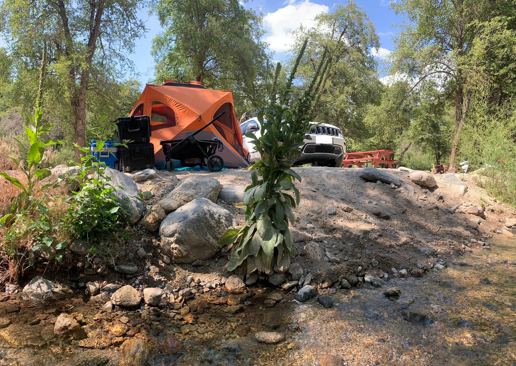 Camper submitted image from Seven Oaks Lodge - TEMPORARILY CLOSED DUE TO FLOOD - 3