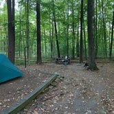 Review photo of Primitive Camping Area — Bald Eagle State Park by Nick D., July 26, 2021
