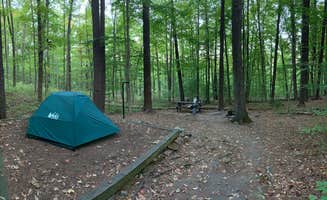 Nick D.'s photo at Primitive Camping Area — Bald Eagle State Park near Spring Mills, PA