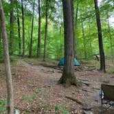 Review photo of Primitive Camping Area — Bald Eagle State Park by Nick D., July 26, 2021