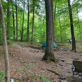 Review photo of Primitive Camping Area — Bald Eagle State Park by Nick D., July 26, 2021