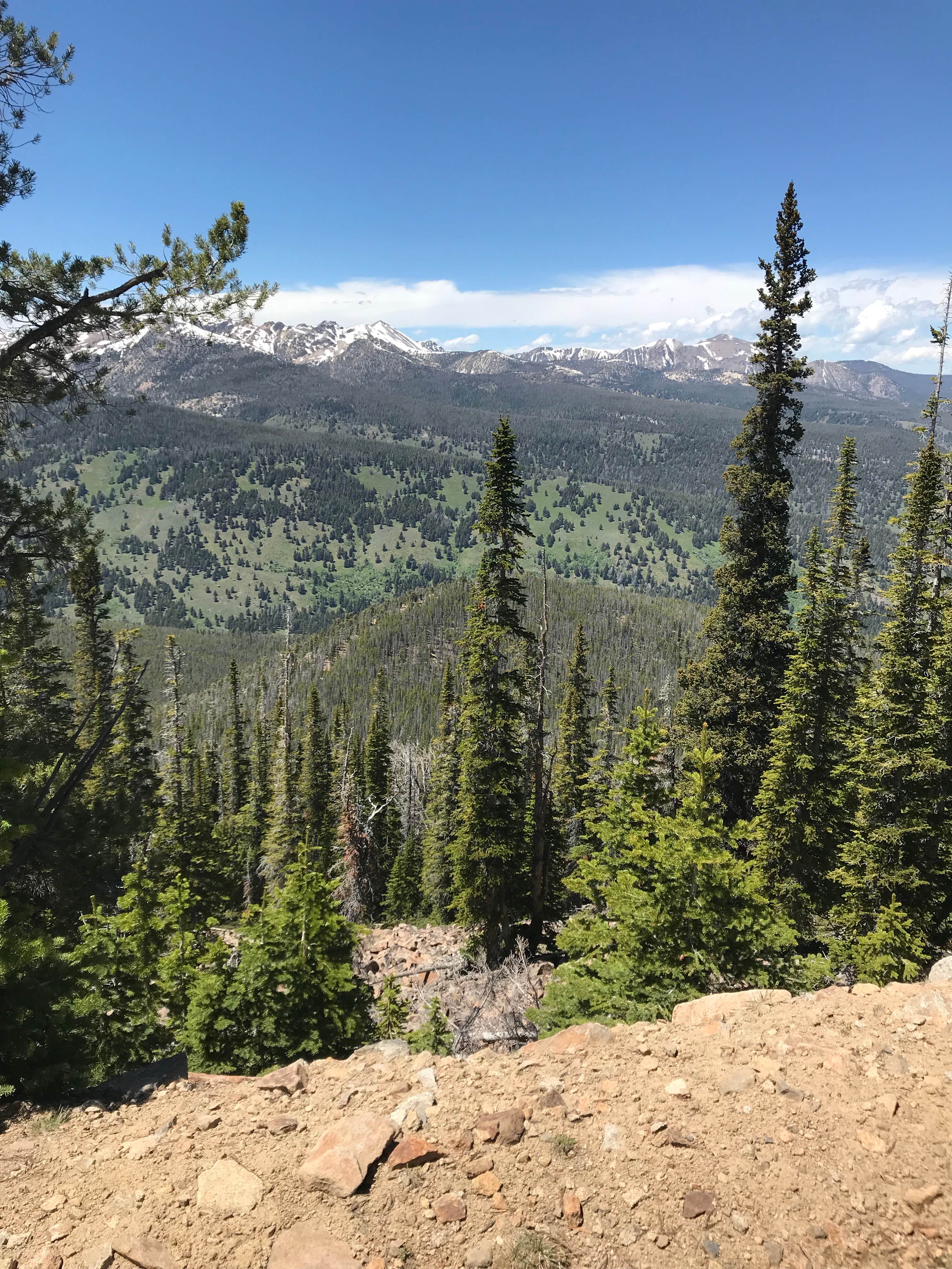 Camper-submitted photo at Big Eightmile /Trailhead near May, ID