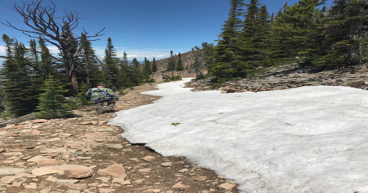 Big Eightmile /Trailhead