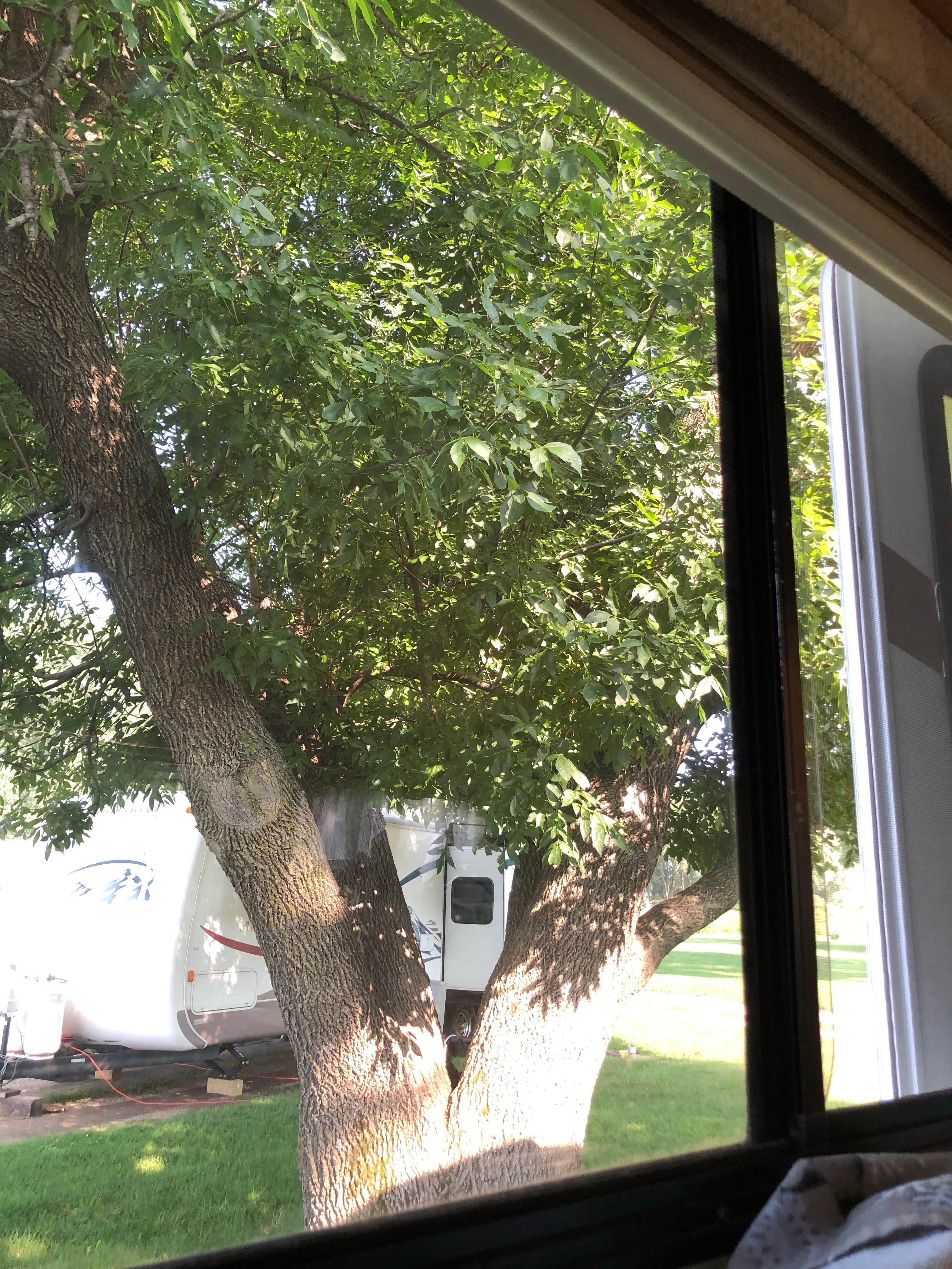 Camper-submitted photo at KOA Kampgrounds of America near Hayward, MN