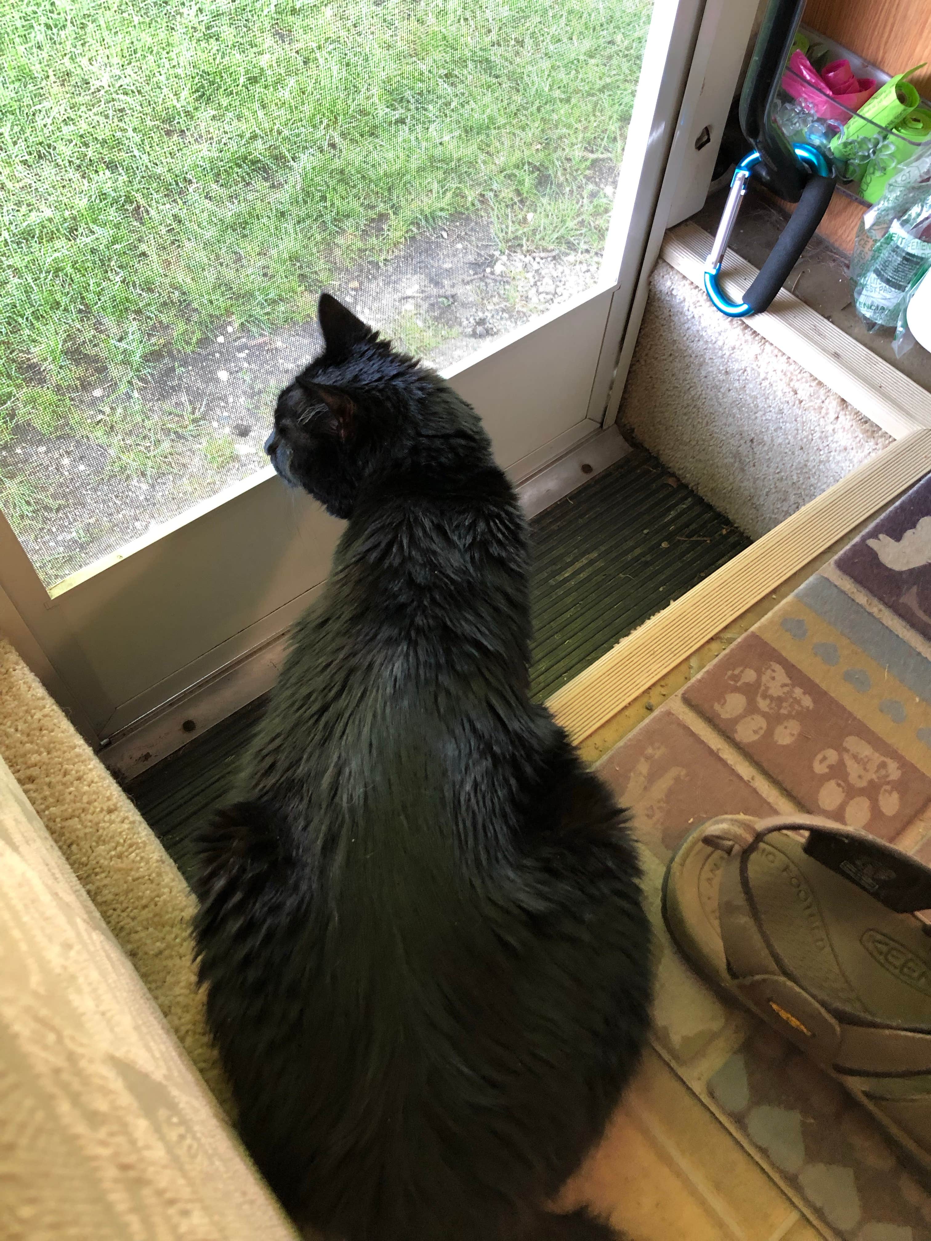 jim G.'s photo of camping with pets at KOA Kampgrounds of America near Osage, IA