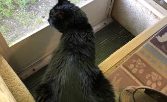 jim G.'s photo of camping with pets at KOA Kampgrounds of America near Britt, IA