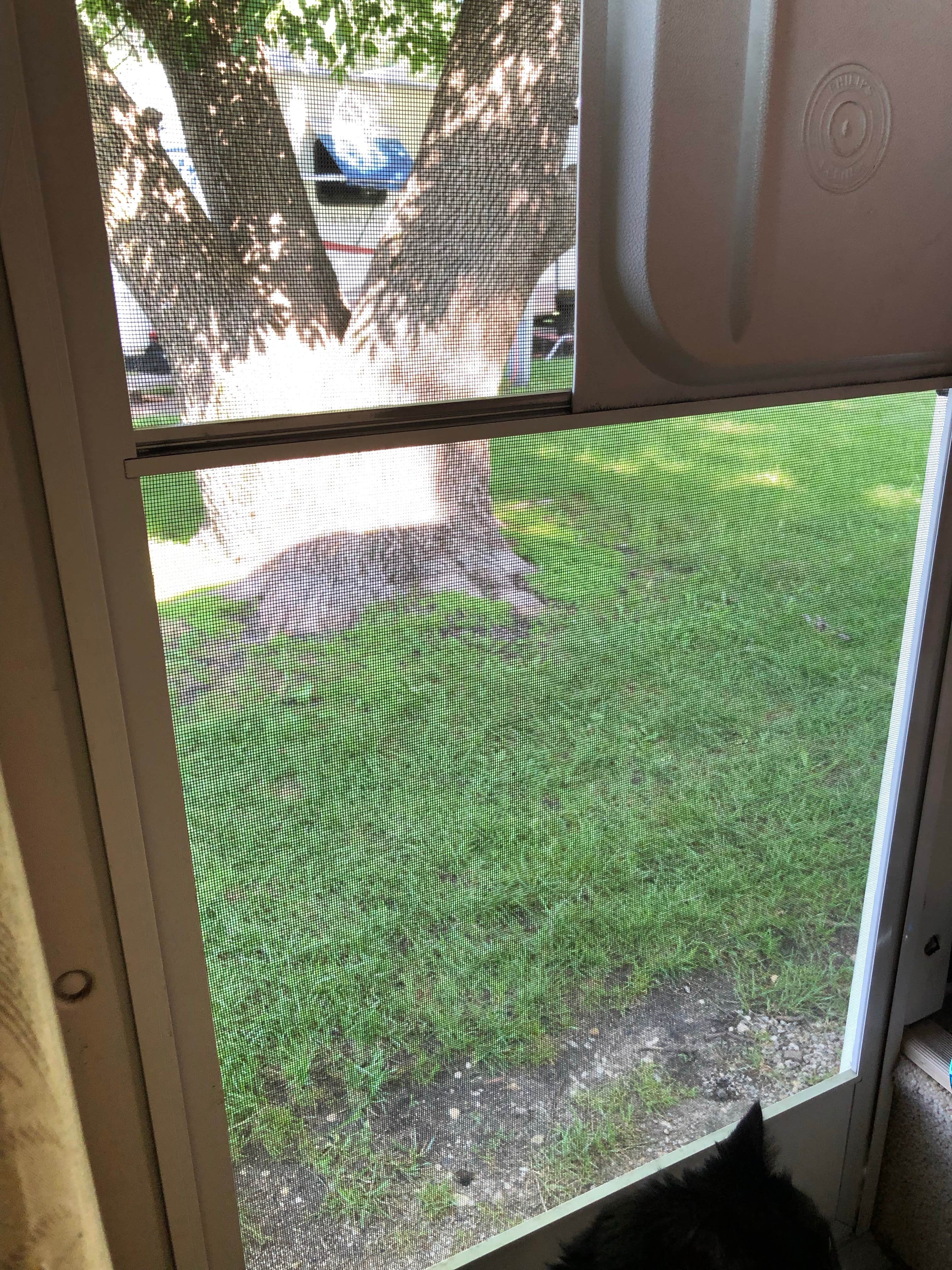 Camper-submitted photo at KOA Kampgrounds of America near Hayward, MN