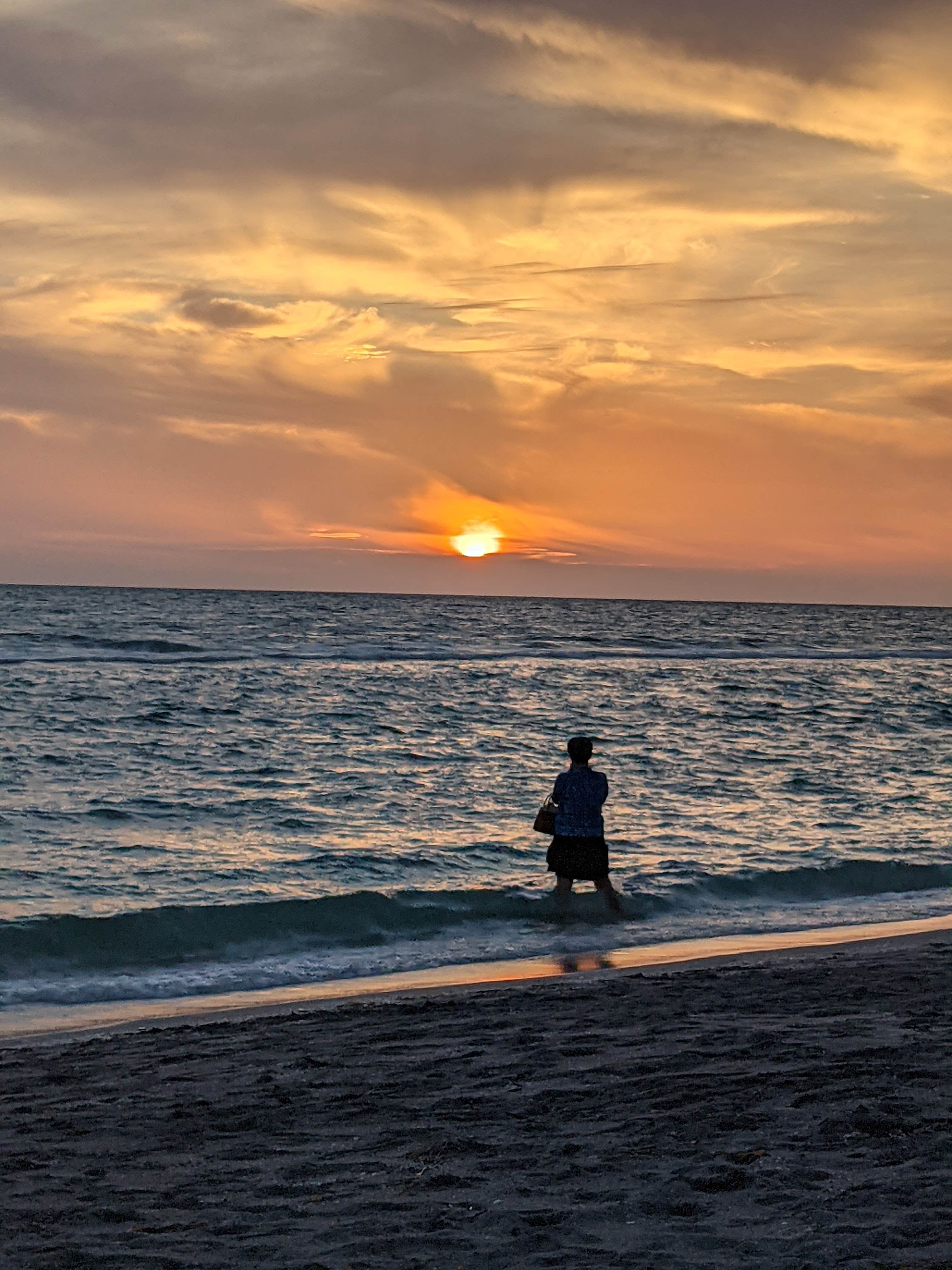 Camper submitted image from Fort Myers-Pine Island KOA - 5