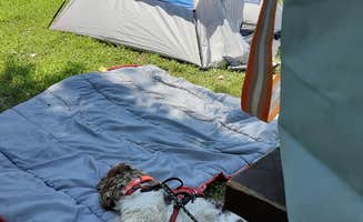Jaxon's photo of camping with pets at Louisville State Recreation Area Campground near Lincoln, NE