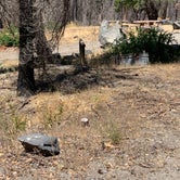 Review photo of Last Chance Creek Campground by Susan R., July 27, 2021