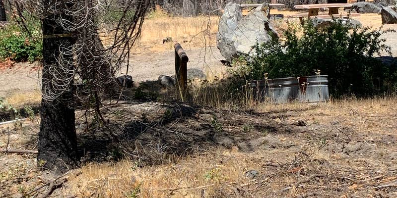 Camper submitted image from Last Chance Creek Campground