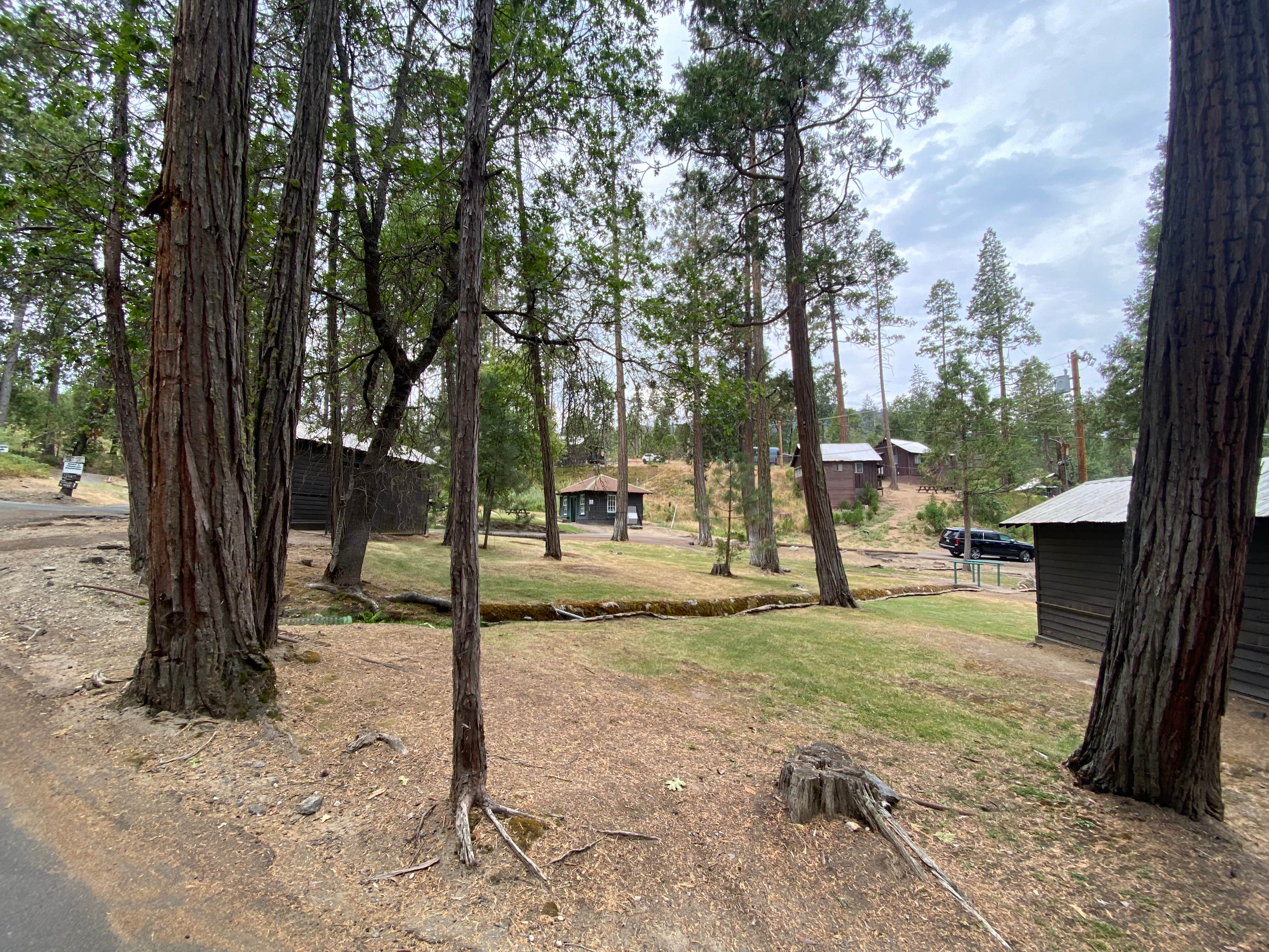 Camper submitted image from Wishon Point Campground - 5