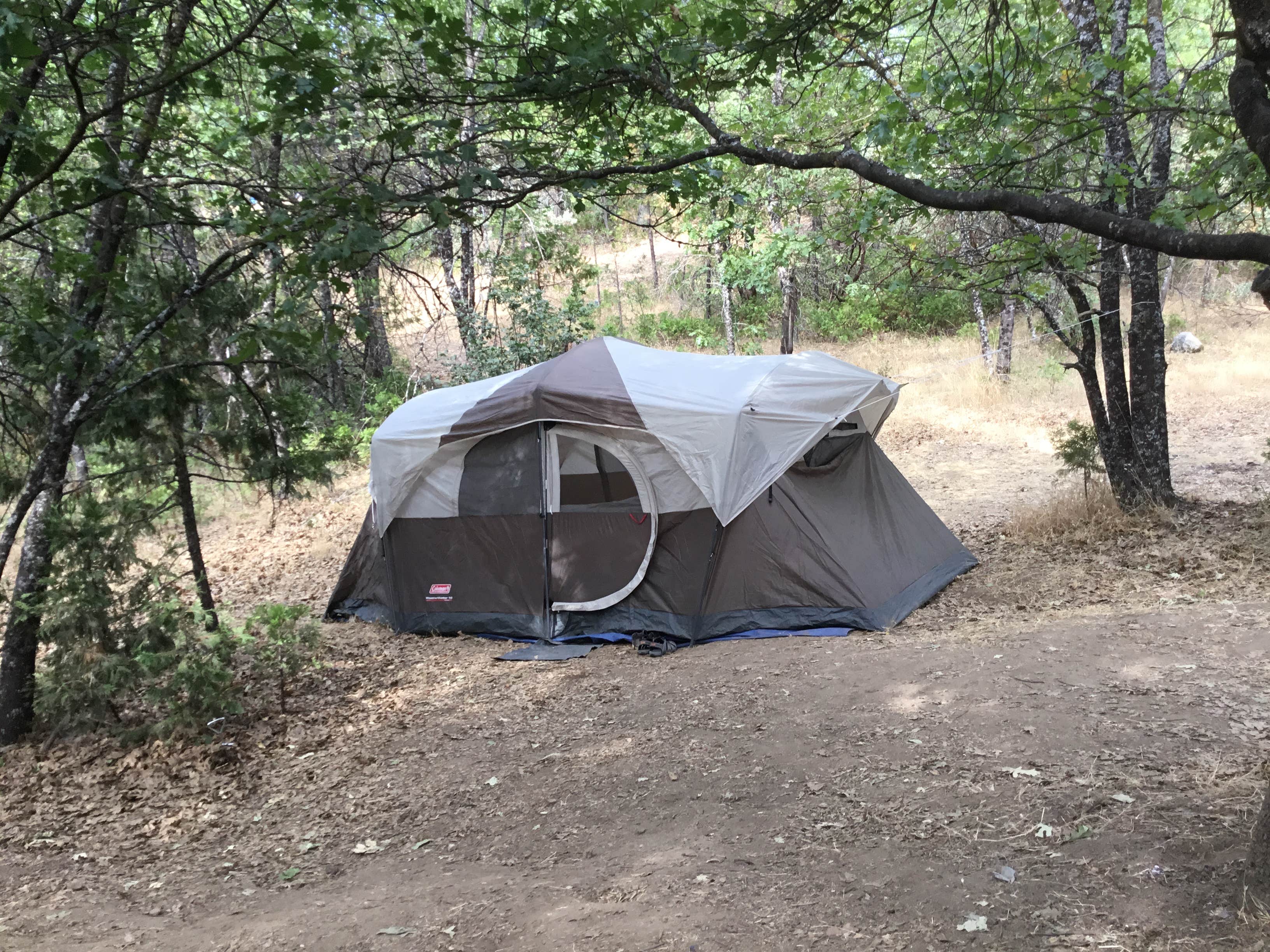 Camper submitted image from Wishon Point Campground - 4