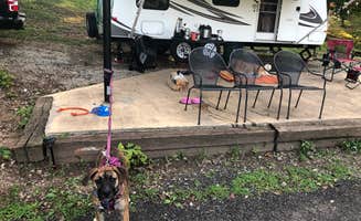 Bryan H.'s photo of camping with pets at Midway Campground Resort near Welcome, NC