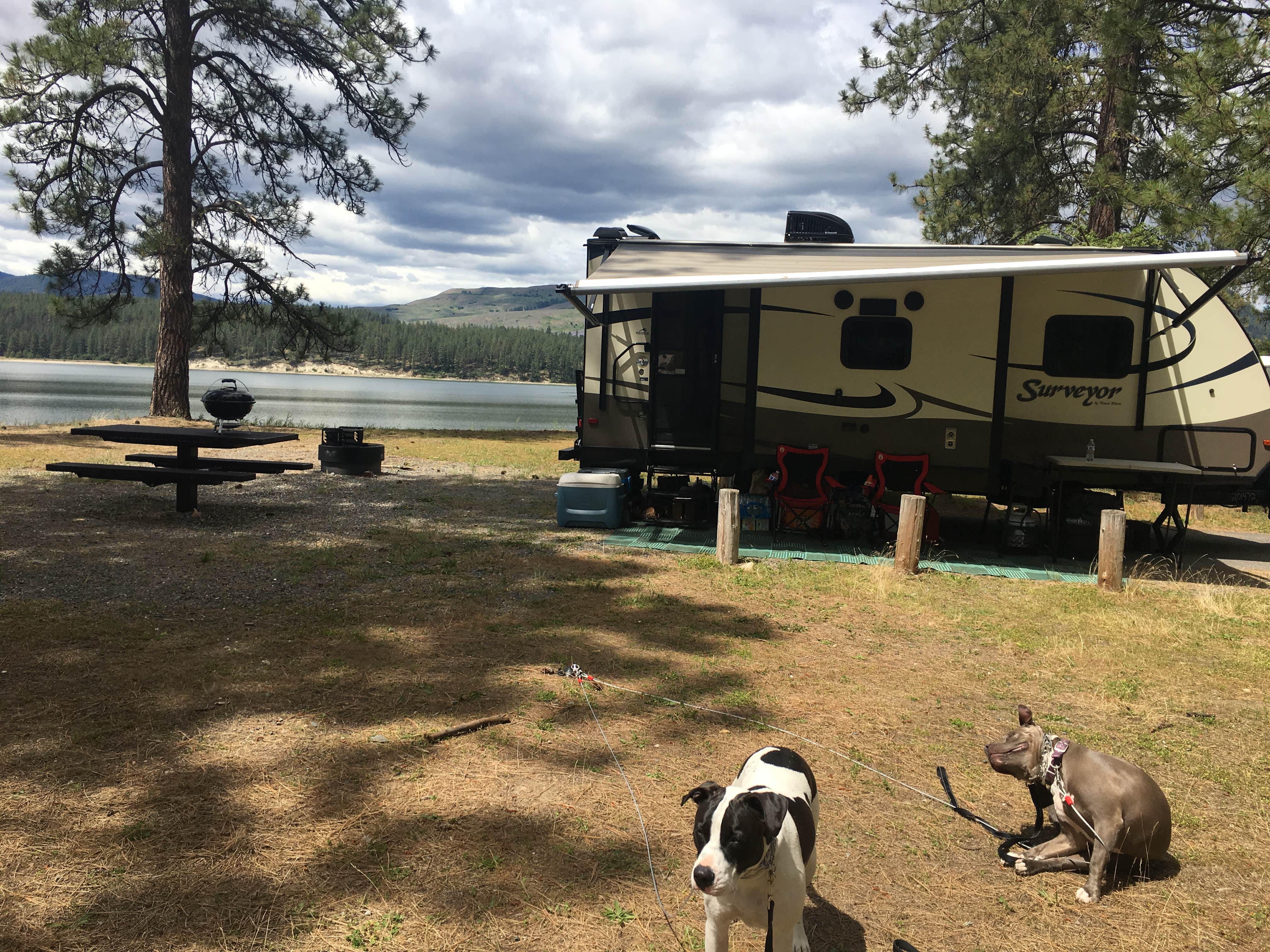 Jennifer H.'s photo of camping with pets at Evans Campground — Lake Roosevelt National Recreation Area near Ione, WA