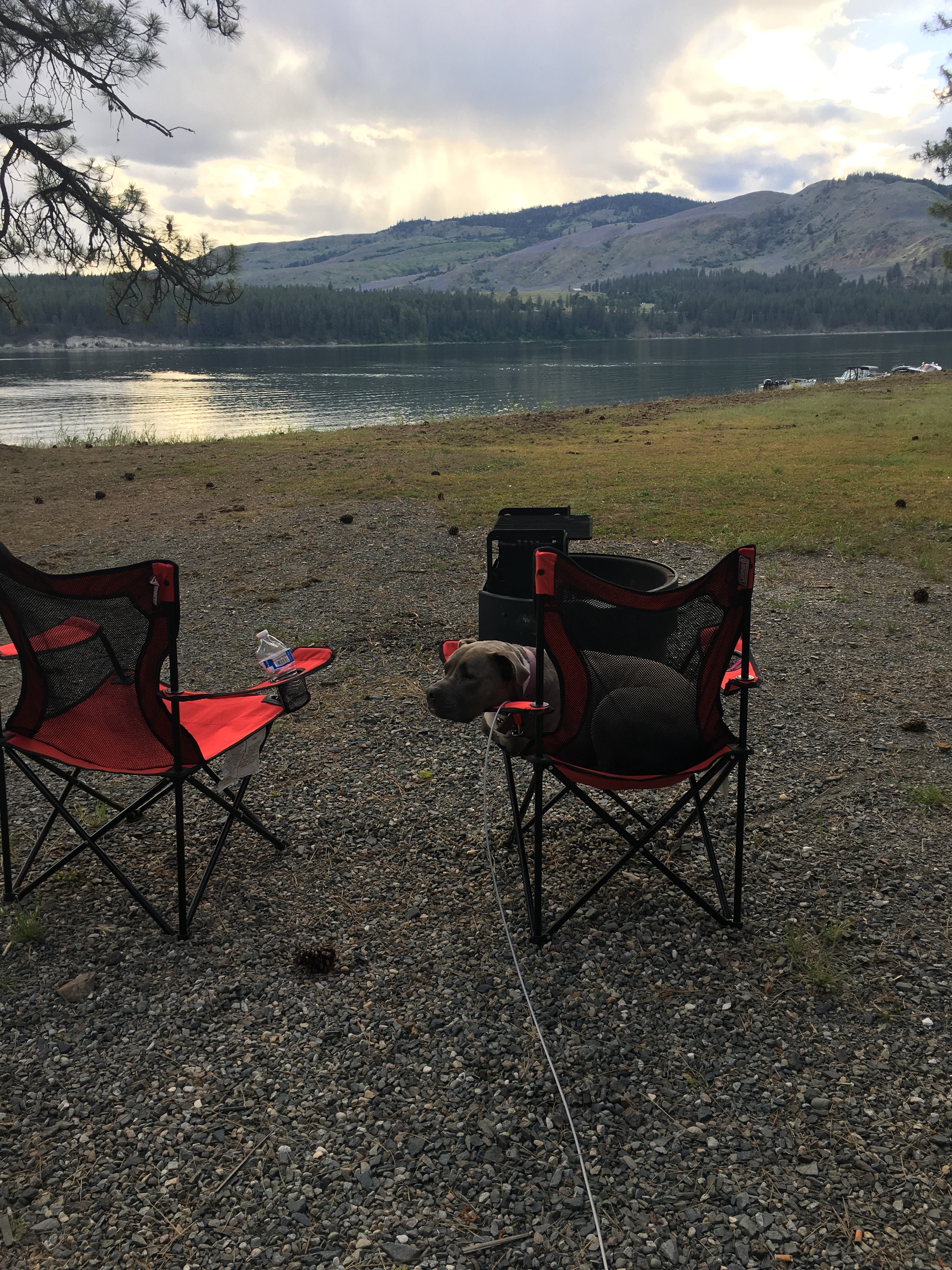 Camper submitted image from Evans Campground — Lake Roosevelt National Recreation Area - 3