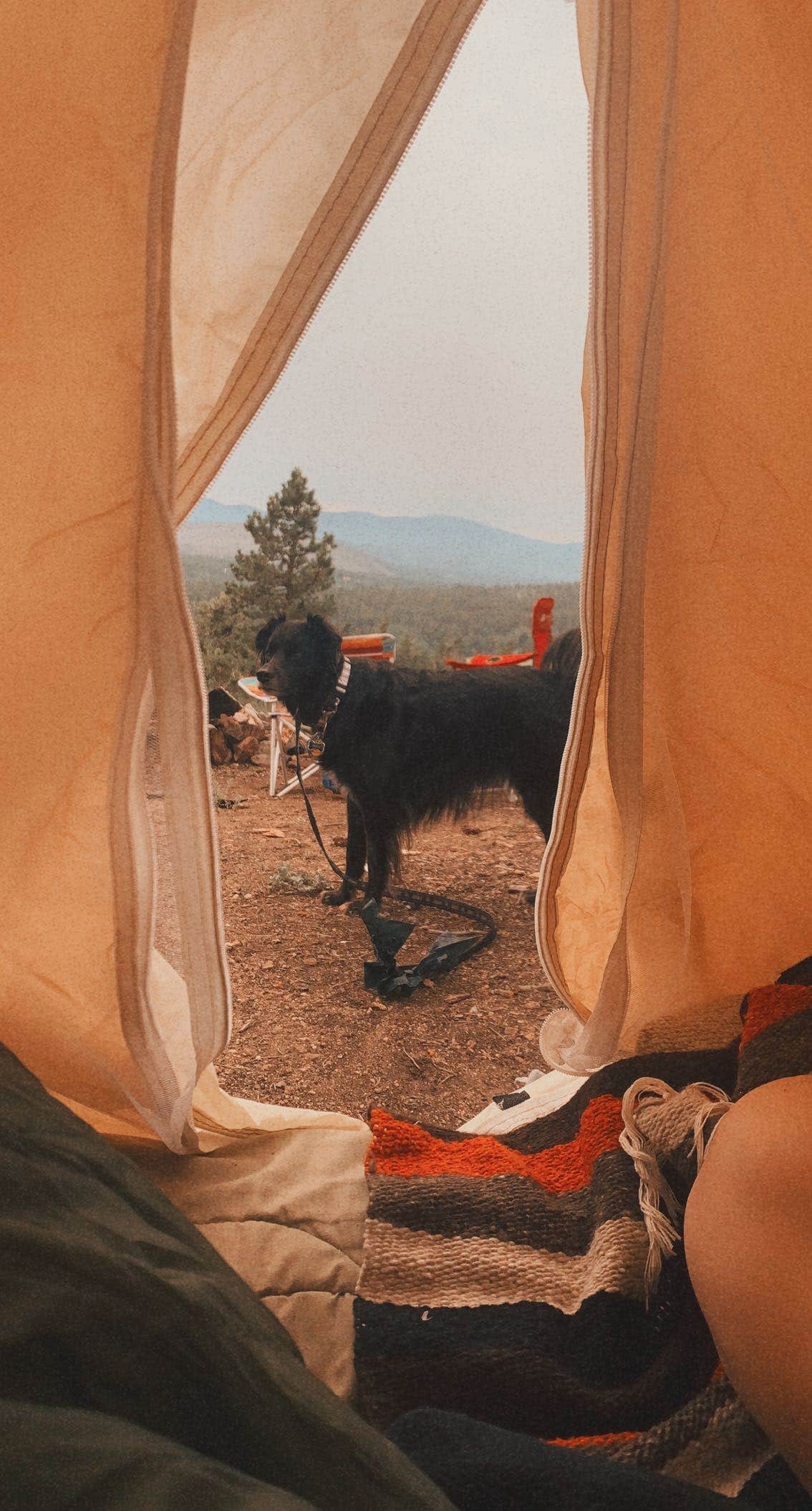 Kelli K.'s photo of tent camping at Gordon Gulch Dispersed Area near Centennial, CO